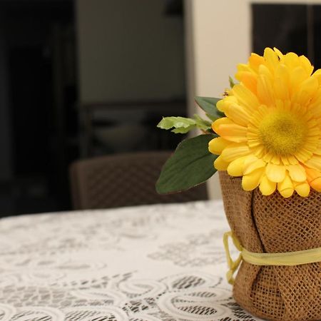 Apartamentos Excelente Ubicacion Medellín Dış mekan fotoğraf